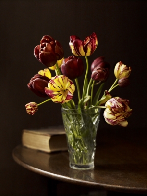 Tulips1