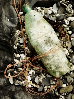 Stern_NationalTrust_WorkingHoliday_PendowerBeach_CleanUp_Seeland_Photographer_AndrewMontgomery-006209