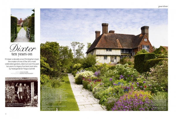 dixter00