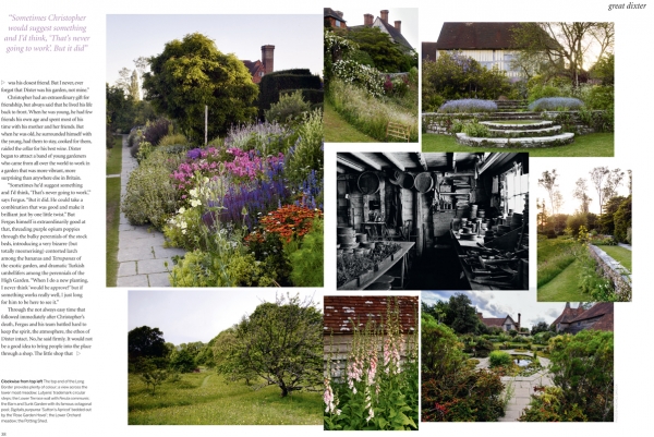 dixter03